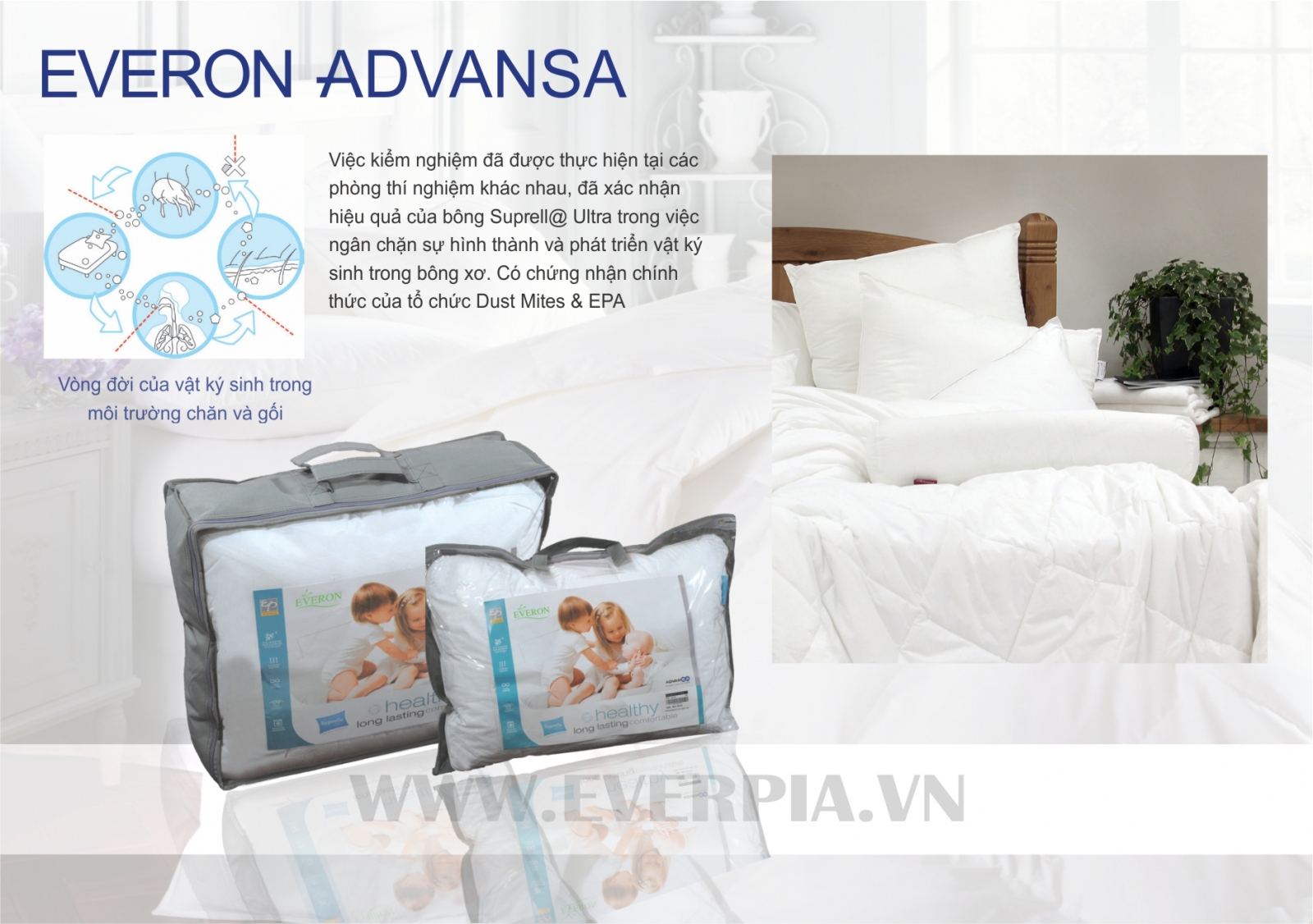Ruột Chăn Everon Aadvansa Ultra