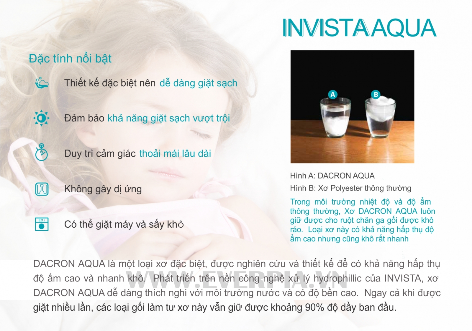 Ruột Chăn Invista Aqua